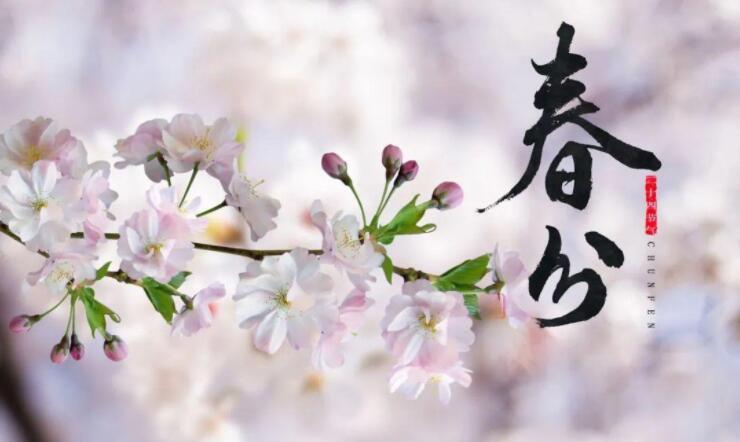 QQ截圖20230321062711.jpg